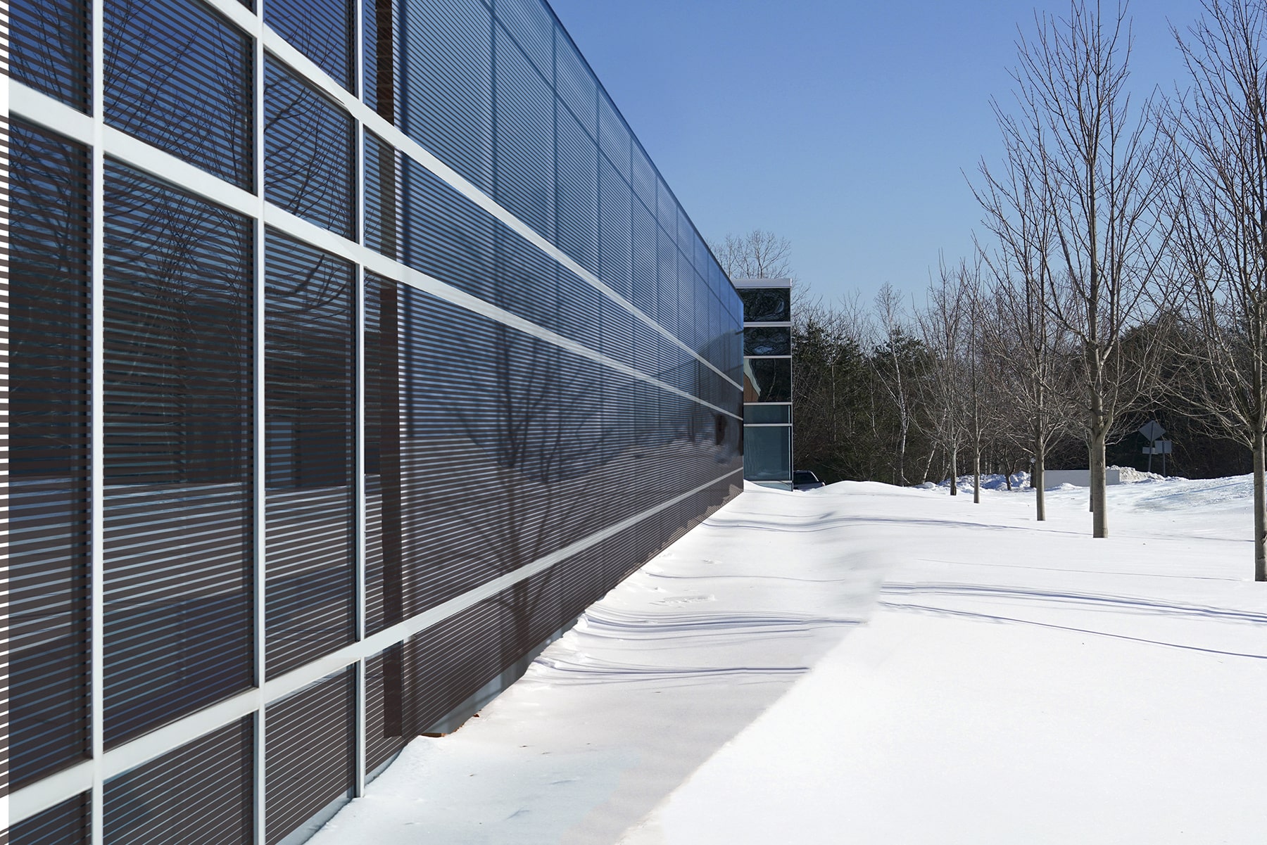 Snowy Regions | Image CG (Utilization of Snow Reflection)