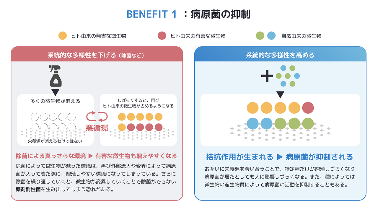 除菌によるまっさらな環境で増えていくもの