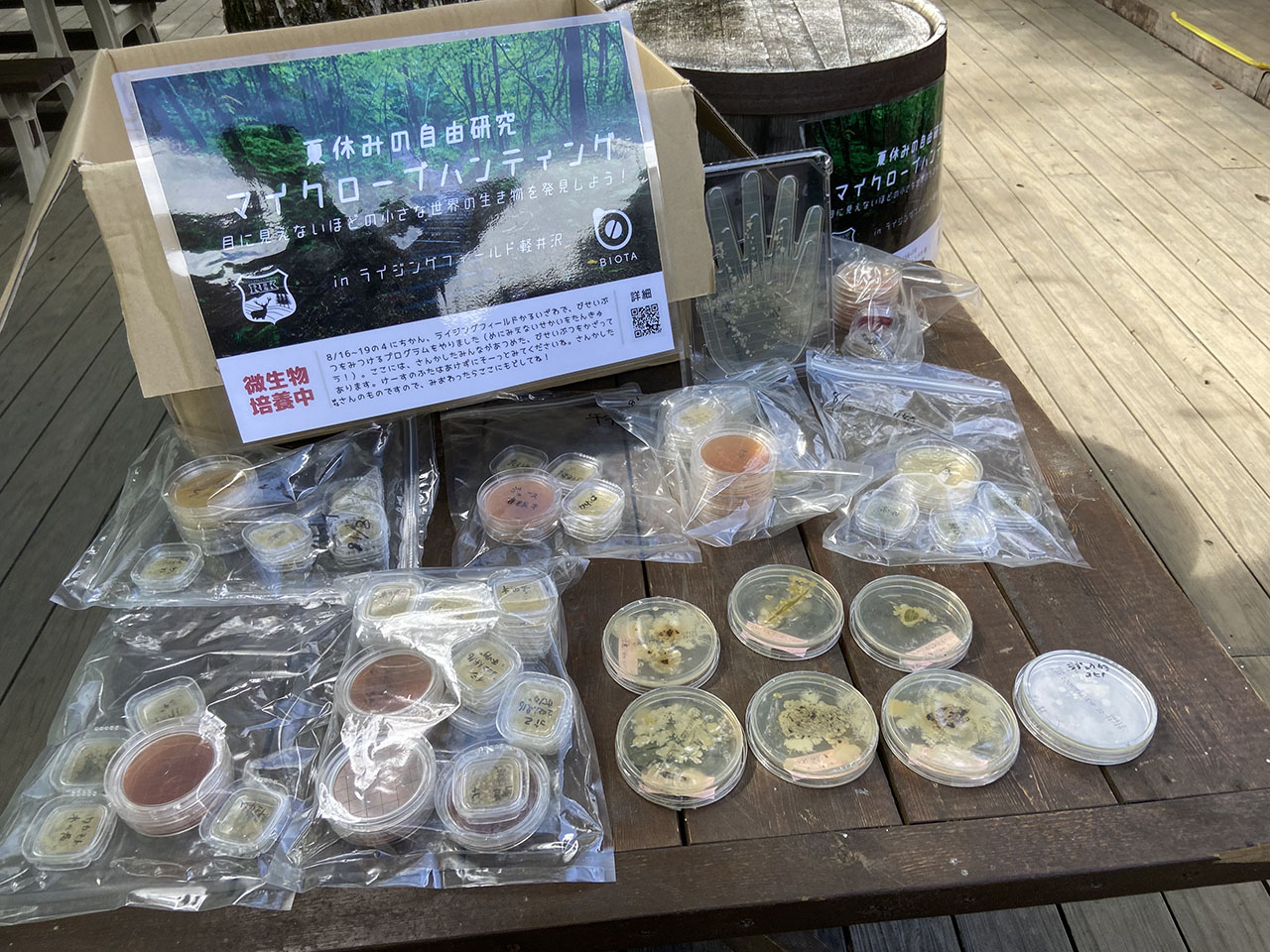 見えないものと良い関係を築いていく