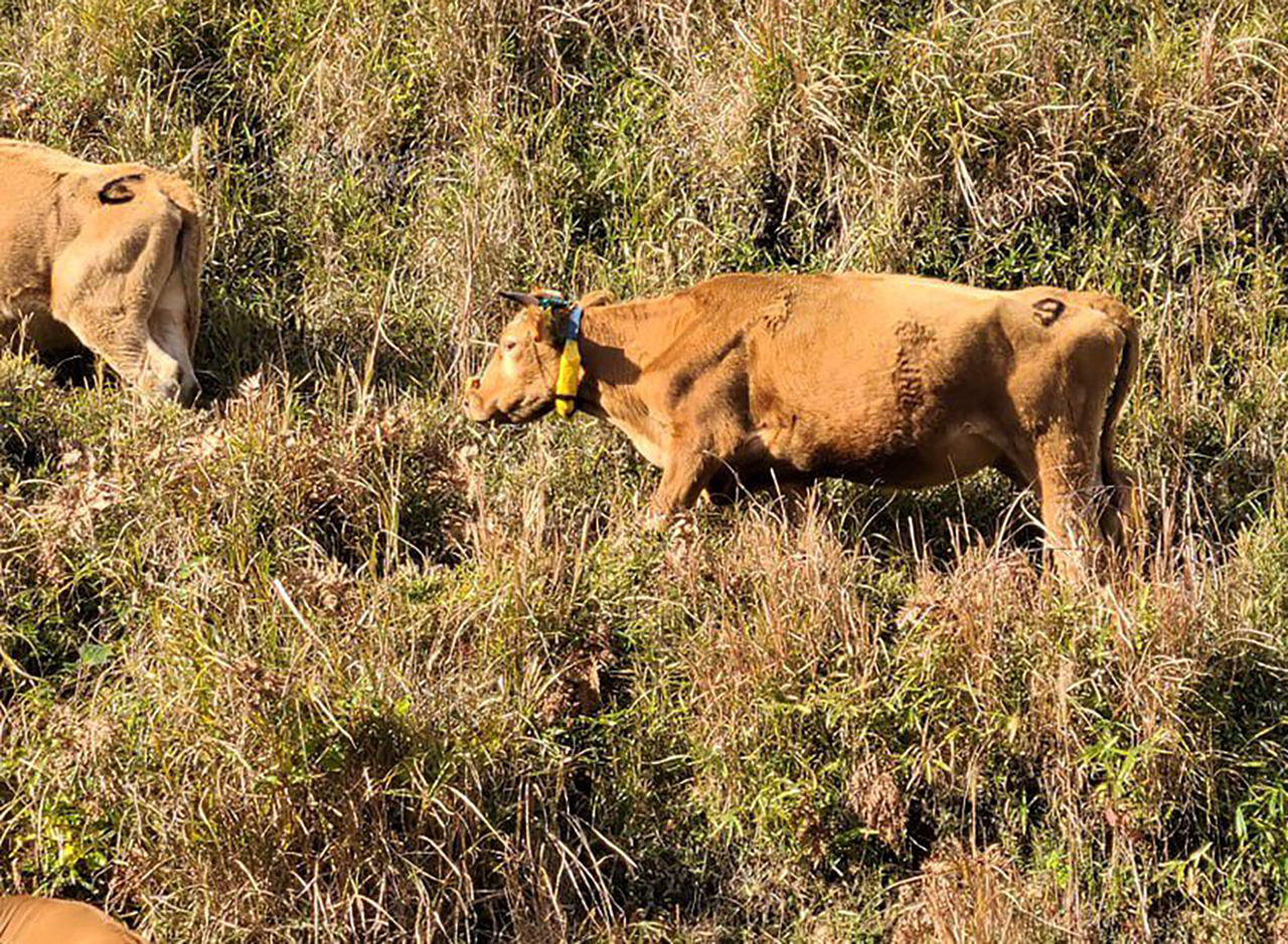 データ✕専門性でおきる化学反応