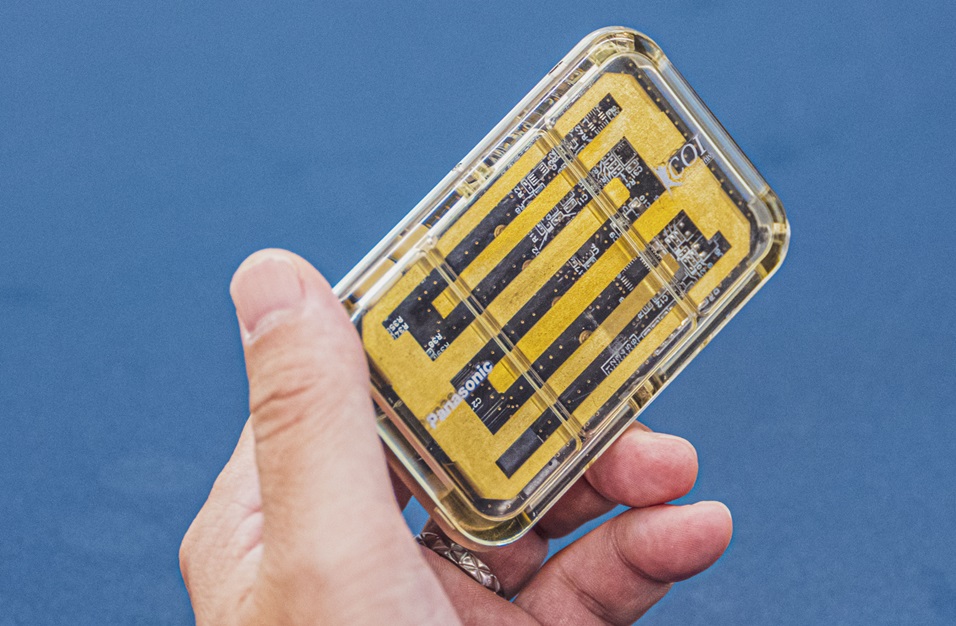 インタビュー画像