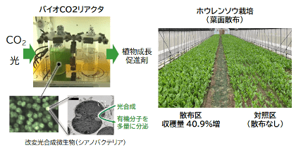 空気中CO2の回収・活用と農産物生産力向上を同時に実現